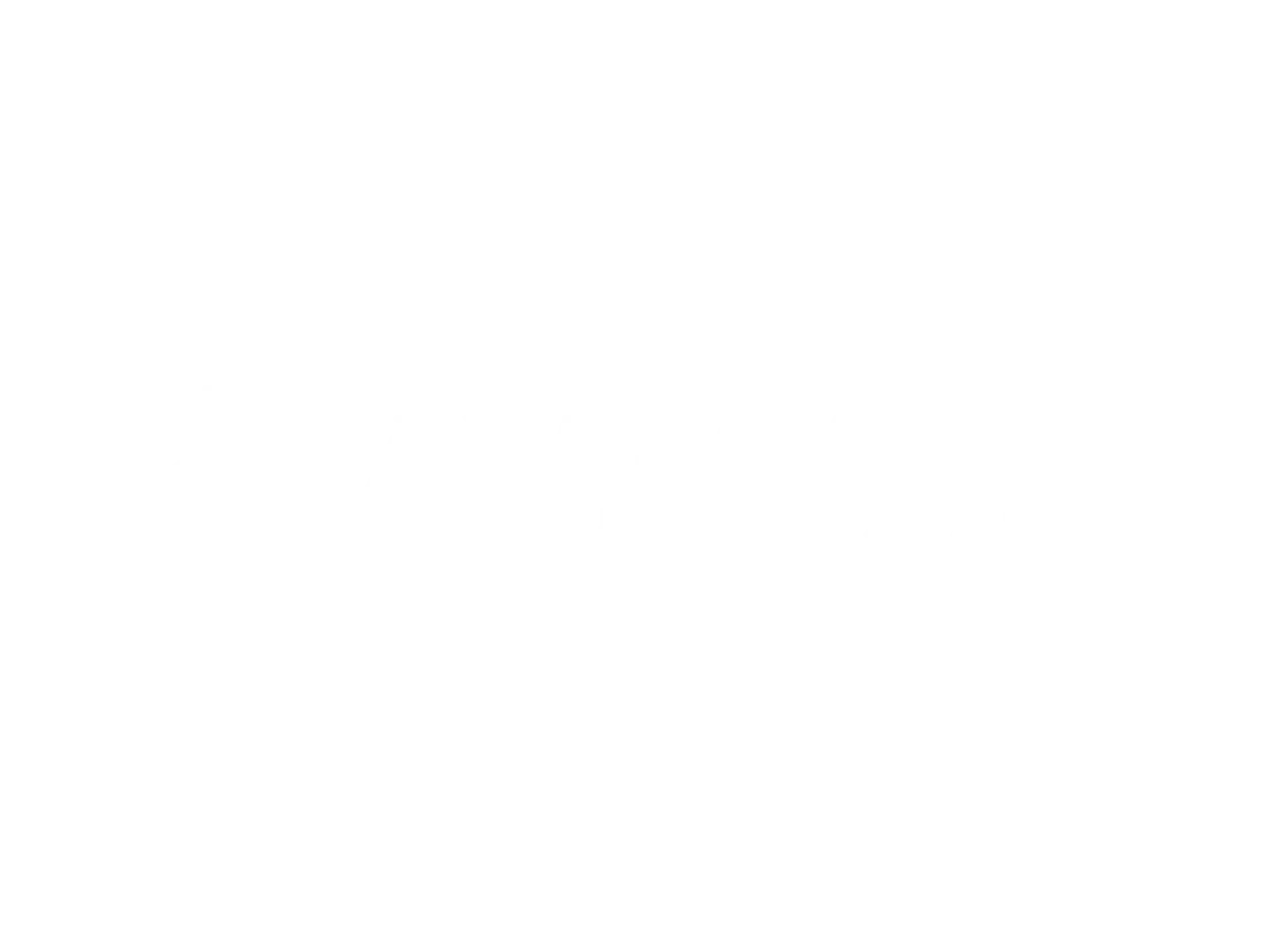 logo-partner-3